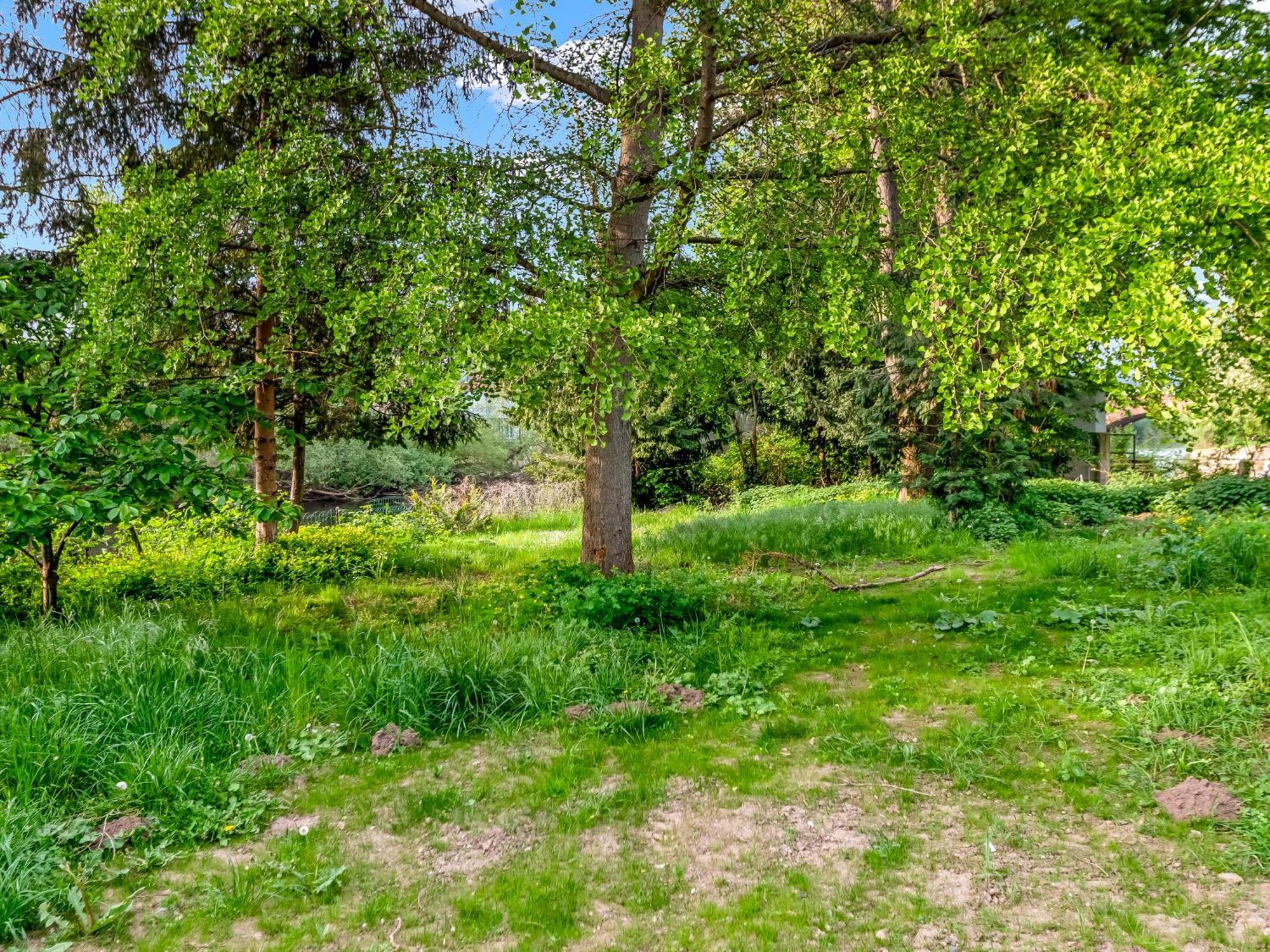 Altstadt Apartment Am Wasser Mit Parkplatz Und Riesigem Garten Bad Kreuznach Exterior foto