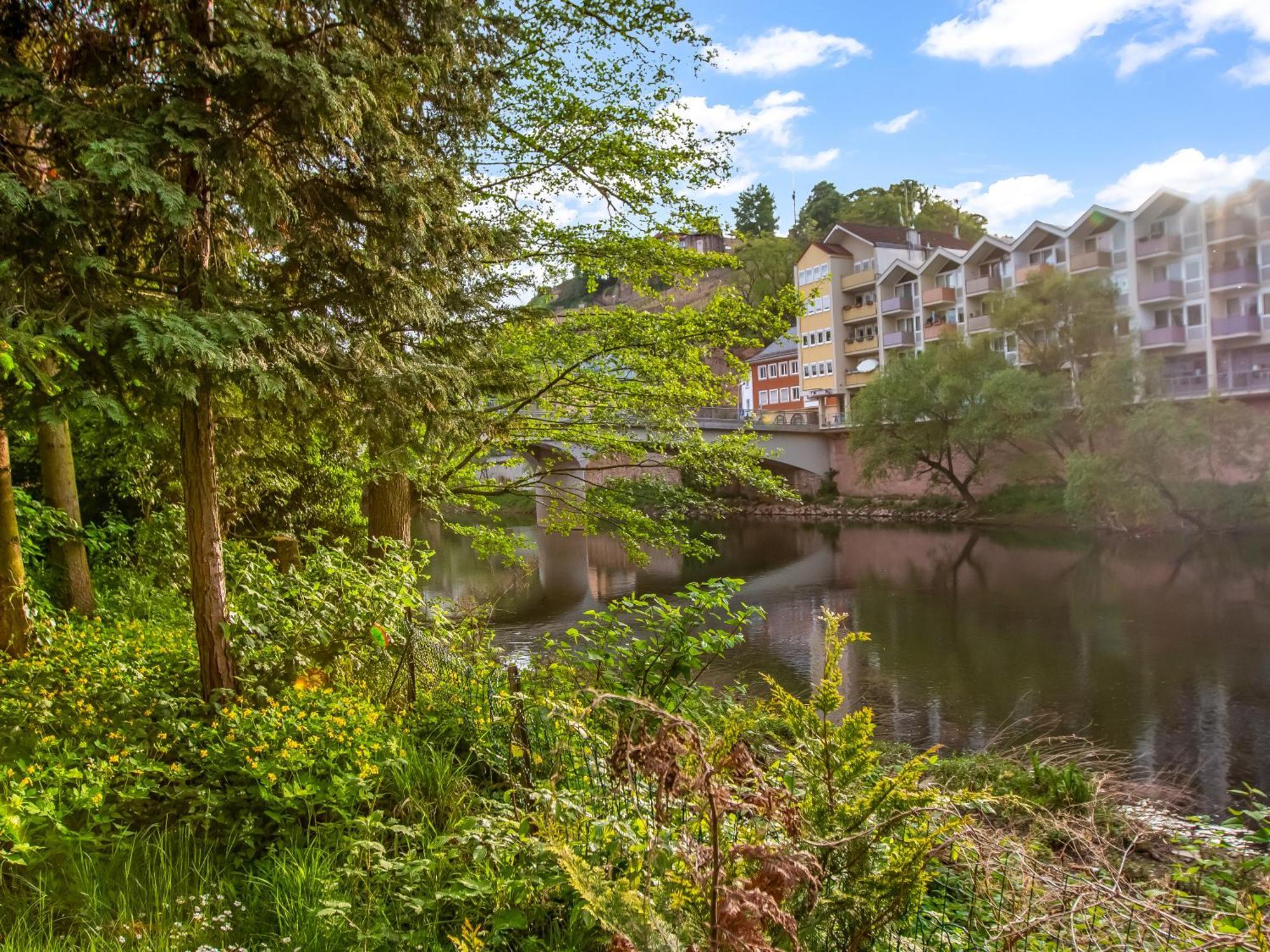 Altstadt Apartment Am Wasser Mit Parkplatz Und Riesigem Garten Bad Kreuznach Exterior foto